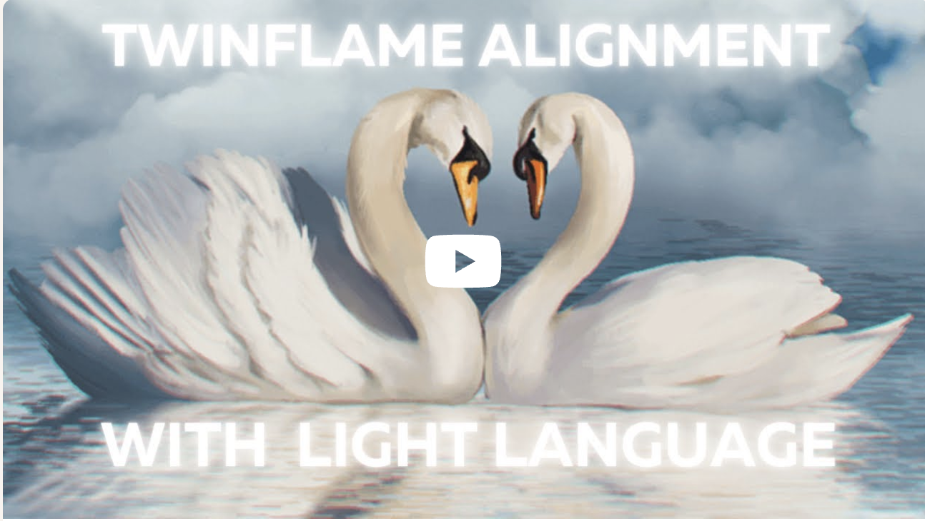 Twinflame Alignment Workshops